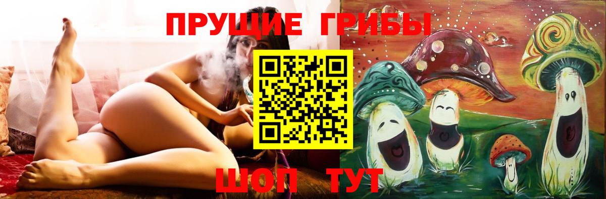 Галлюциногенные грибы Psilocybe Химки